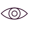 NB_Icon Vision- grape.png